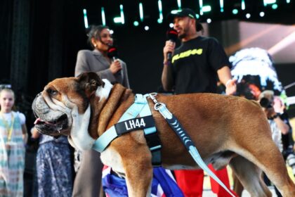 Hamilton Prioriza a Roscoe sobre la F1: Preocupación por la Salud del Bulldog