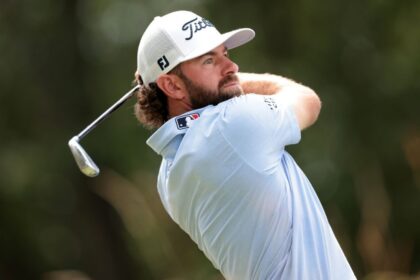 Young se Impone en Playoff y Clasifica al US Open de Golf