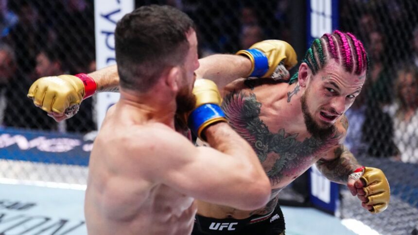 O'Malley vs Dvalishvili: Predicciones y Apuestas para la Revancha UFC