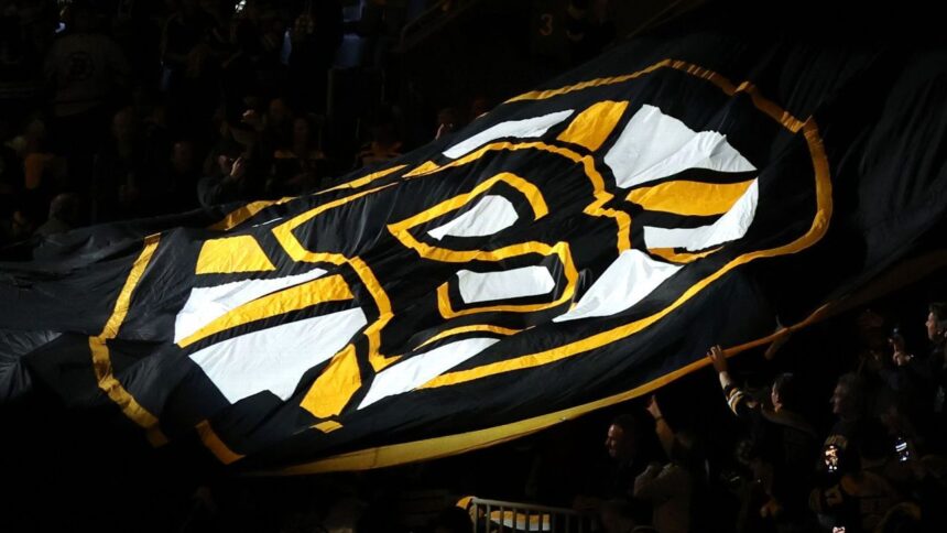 Bruins contratan a Marco Sturm como nuevo entrenador: Análisis y expectativas