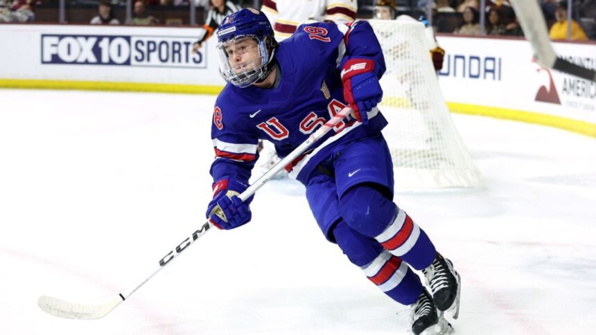 Joyas Ocultas del Draft NHL 2025: Diamantes en Bruto
