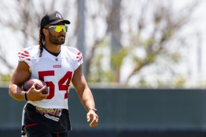 NFL: Top 10 Linebackers 2025, Según Expertos y Scouts. ¡Análisis Completo!