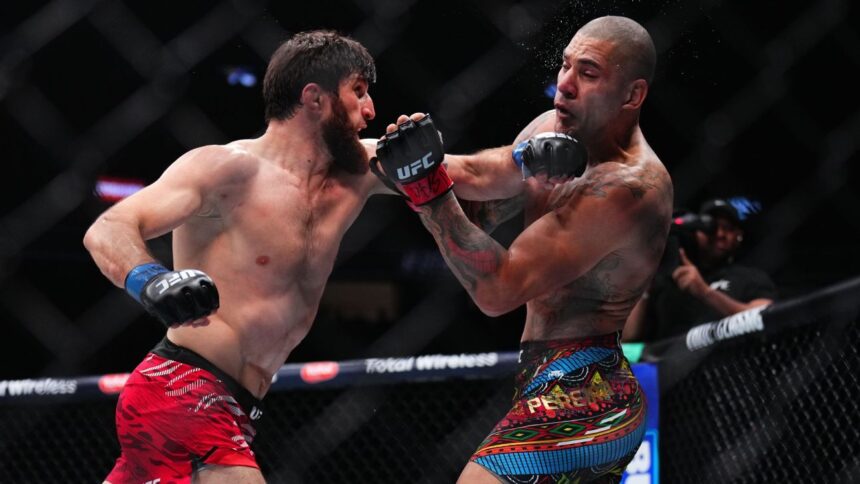 Pereira vs Ankalaev 2: Revancha por el título en UFC 320, ¡Análisis!