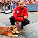 Hamilton lamenta la muerte de Roscoe, su fiel bulldog: "Mi mejor amigo"
