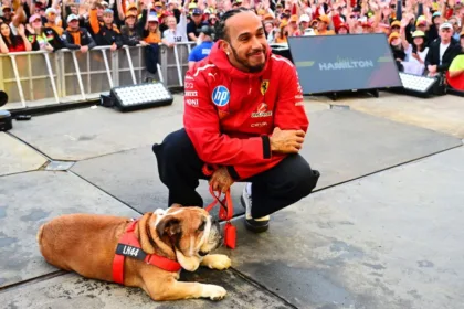 Hamilton lamenta la muerte de Roscoe, su fiel bulldog: "Mi mejor amigo"
