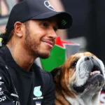 Hamilton y Roscoe: La Humana Pérdida del Ícono F1, Emociona al Mundo