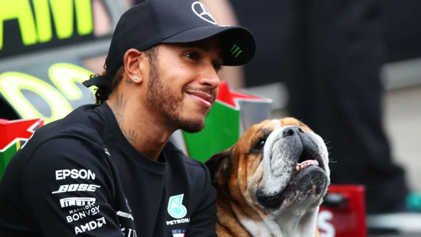 Hamilton y Roscoe: La Humana Pérdida del Ícono F1, Emociona al Mundo