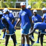 Tigres del Licey: Bethancourt, Gann y Álvarez Refuerzan el Campamento