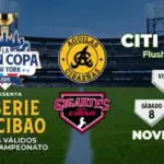 LIDOM lamenta cancelación de la Copa del Cibao: Causas no fueron fortuitas.