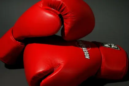 Exboxeador Gogic: Jurado Descartado por Intento de Soborno en Juicio por Drogas