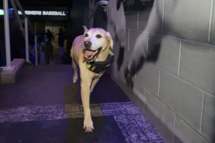 Naylor y el perro Tucker sellan su futuro con los Mariners: "¡Queremos la Serie Mundial!"