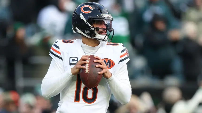 Bears Anotan Primero: TD Terrestre de Swift Encabeza el Black Friday