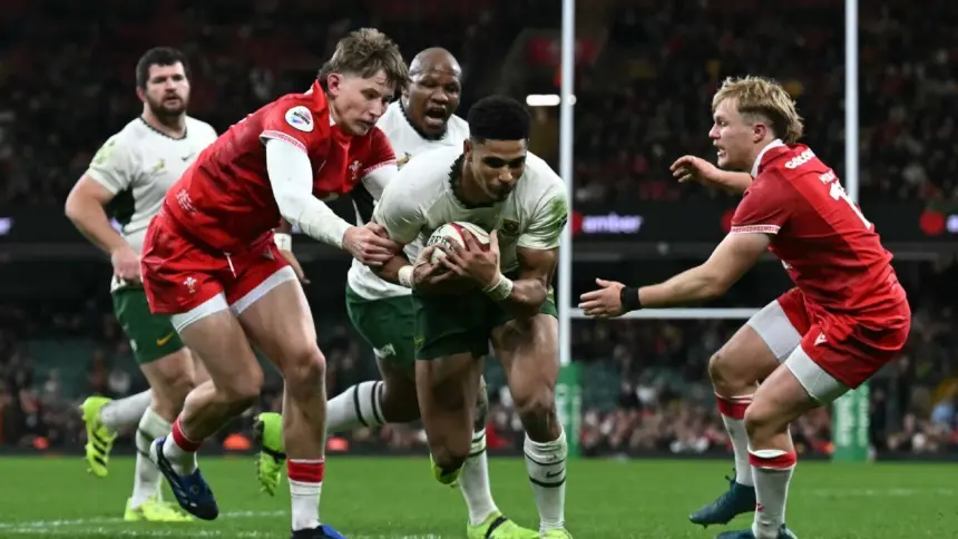 Springboks humillan a Gales: 73-0, paliza histórica y roja a Etzebeth