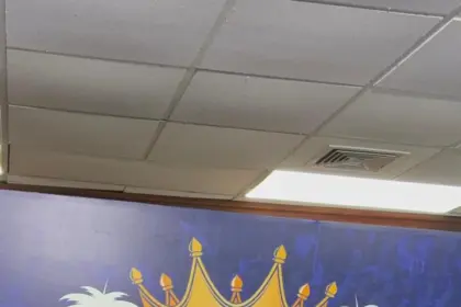 Licey exhibe ADN ganador: Blanquea a Gigantes, Abreu brilla y Mauricio regresa