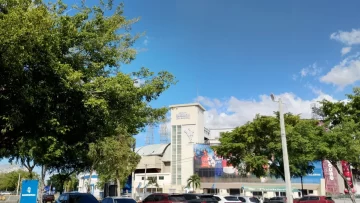 LIDOM: Cuatro Equipos Luchan por Últimos Boletos al Round Robin