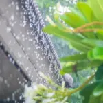 Onda tropical y vaguada traerán aguaceros y tormentas este martes