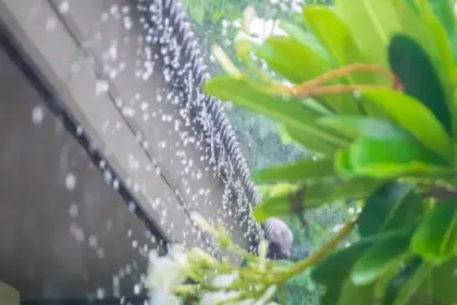 Onda tropical y vaguada traerán aguaceros y tormentas este martes