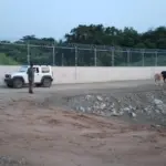 Ejército recupera ganado robado en Dajabón antes de ser llevado a Haití