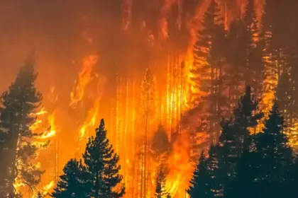 Europa en crisis por devastadores incendios forestales y evacuaciones masivas