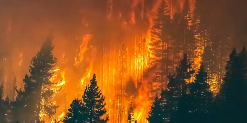 Incendios forestales en Europa dejan miles de evacuados y decenas de heridos