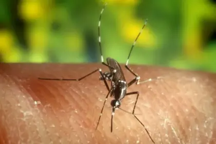 Brasil registra cifra histórica de malaria más baja en 50 años