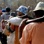 Senado busca prohibir importación de bienes por trabajo forzoso en RD
