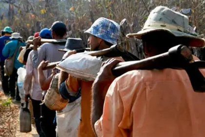 Senado busca prohibir importación de bienes por trabajo forzoso en RD
