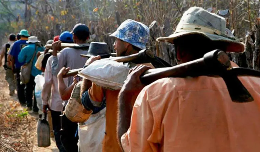Senado busca prohibir importación de bienes por trabajo forzoso en RD