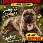 Buscan a Jangluk en Brisa Oriental ofrecen recompensa de 10 mil pesos