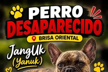 Buscan a Jangluk en Brisa Oriental ofrecen recompensa de 10 mil pesos