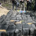 Honduras incauta 1,5 toneladas de cocaína en zona de manglares