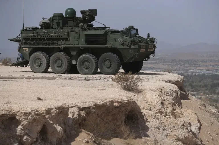 Argentina refuerza su Ejército con 235 blindados Stryker de EE.UU.