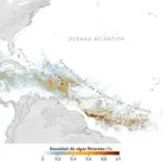 Cinturón de sargazo en el Caribe alcanza niveles históricos en 2026