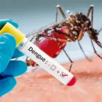 Día Internacional contra el Dengue: claves para prevenir el virus