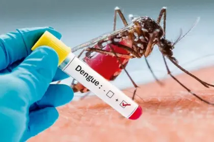 Día Internacional contra el Dengue: claves para prevenir el virus