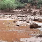 Evacúan turistas del Gran Cañón tras inundaciones repentinas en Arizona