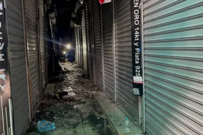 Incendio en Mercado Modelo de Santiago afecta 17 locales comerciales