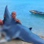 Detienen hombre por captura ilegal de mantarraya en Las Terrenas