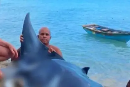 Detienen hombre por captura ilegal de mantarraya en Las Terrenas
