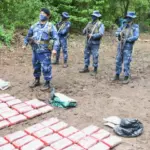 Ejército de Nicaragua incauta más de 1.300 kilos de droga en un año