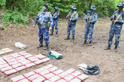 Ejército de Nicaragua incauta más de 1.300 kilos de droga en un año