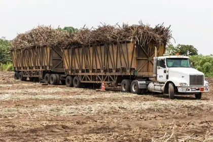 CAC logra récord histórico de 748 mil toneladas en zafra 2025-2026