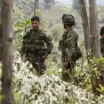 Juez ordena suspender bombardeos en Colombia si hay menores presentes