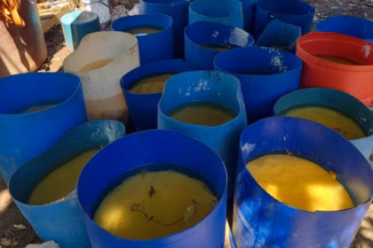 Golpe millonario al narco en Sinaloa: decomisan 17 toneladas de droga