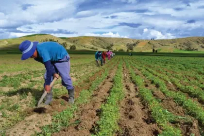 Día Mundial de la Agricultura: importancia, retos y futuro sostenible