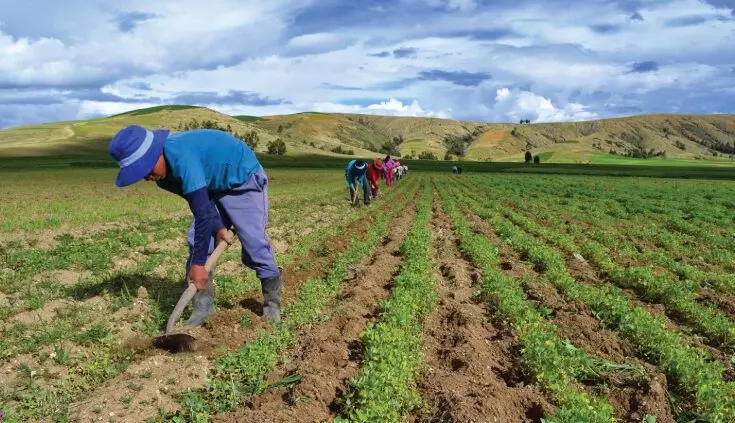 Día Mundial de la Agricultura: importancia, retos y futuro sostenible