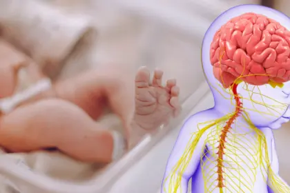 Cerebro del recién nacido reacciona más al llanto que al habla humana
