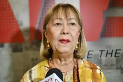 Rosa Ng Báez alerta sobre xenofobia contra comercios chinos en RD