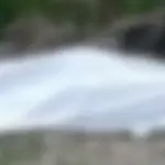 Tragedia en San Cristóbal: un fallecido y dos heridos por descarga eléctrica