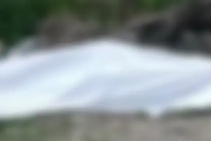 Tragedia en San Cristóbal: un fallecido y dos heridos por descarga eléctrica 19 Tragedia en San Cristóbal: un fallecido y dos heridos por descarga eléctrica